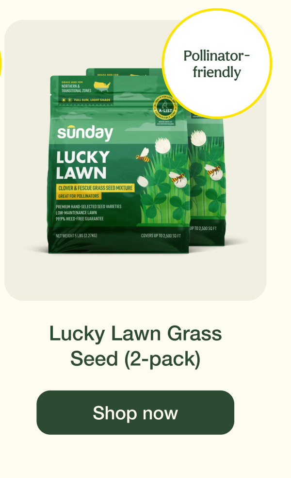 Lucky Lawn Grass Seed (2-pack) | Shop now