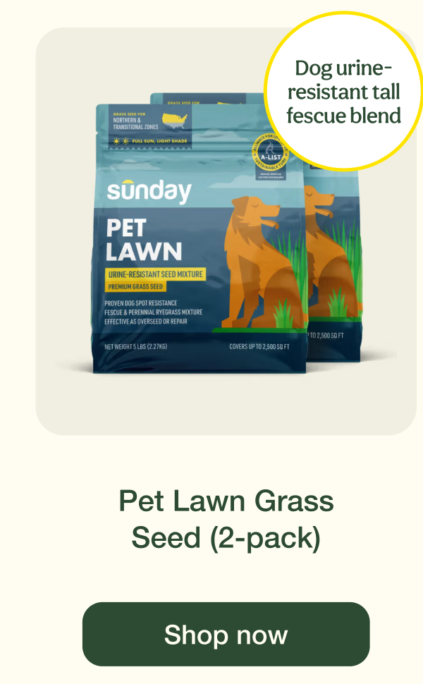 Pet Lawn Grass Seed (2-pack) | Shop now