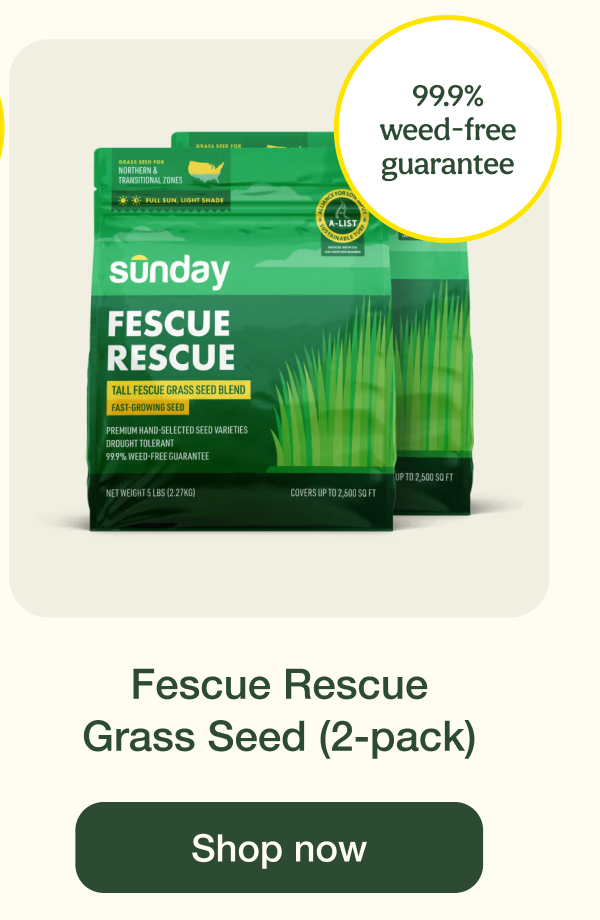 Fescue Rescue Grass Seed (2-pack) | Shop now
