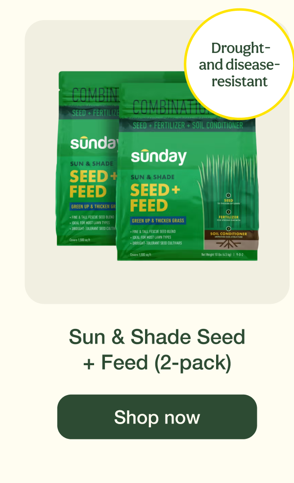 Sun & Shade Seed + Feed (2-pack) | Shop now