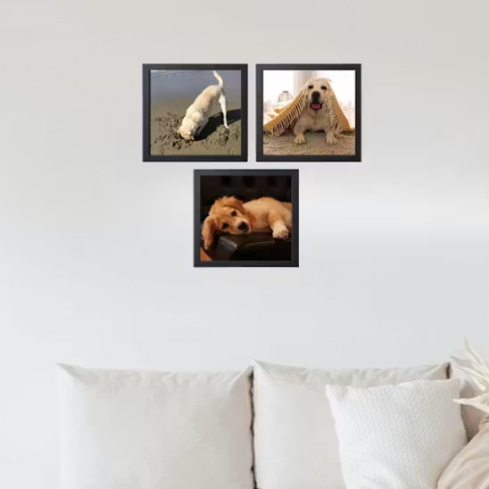 Kit com 3 Quadros Pop 20x20cm