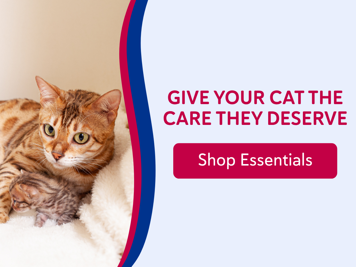 Shop Cat Essentials