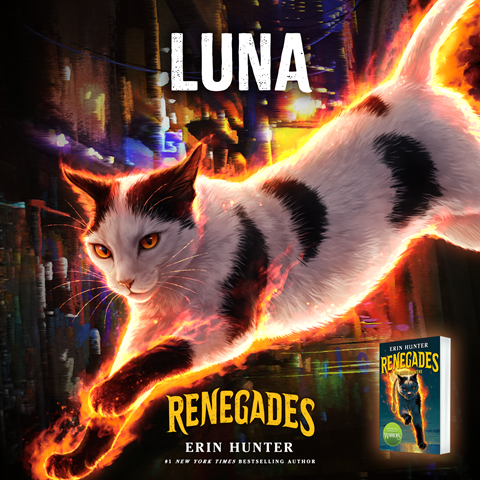 Luna: A black and white cat