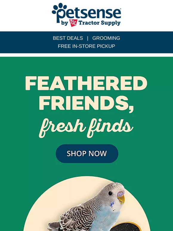 Spring Savings Are Here—Shop Pet Favorites Now