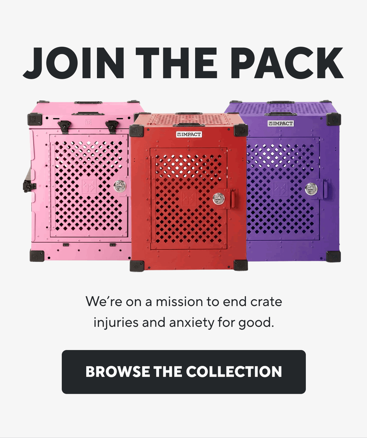 JOIN THE PACK | Browse The Collection