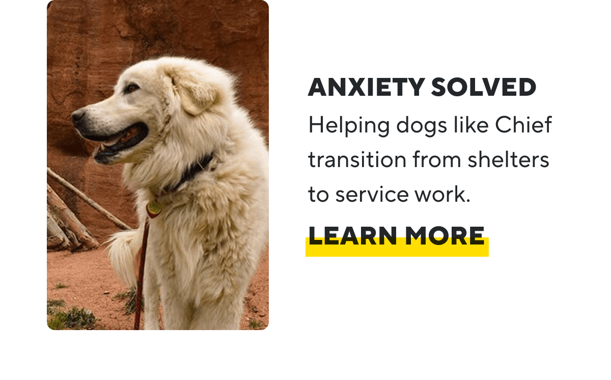Anxiety Solved | LEARN MORE