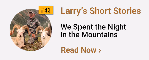 Larrys Short Stories #43