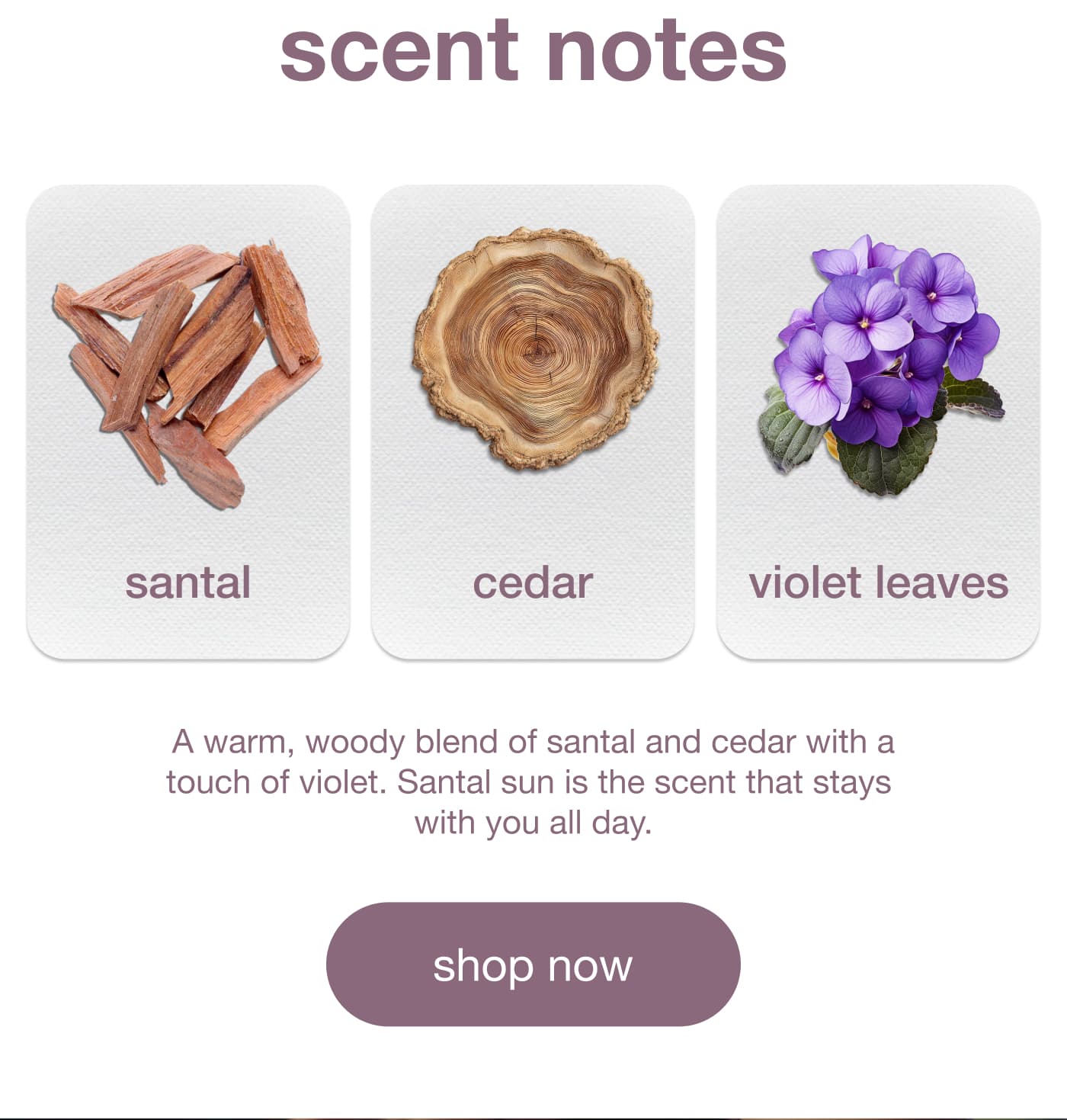scent notes [shop now]
