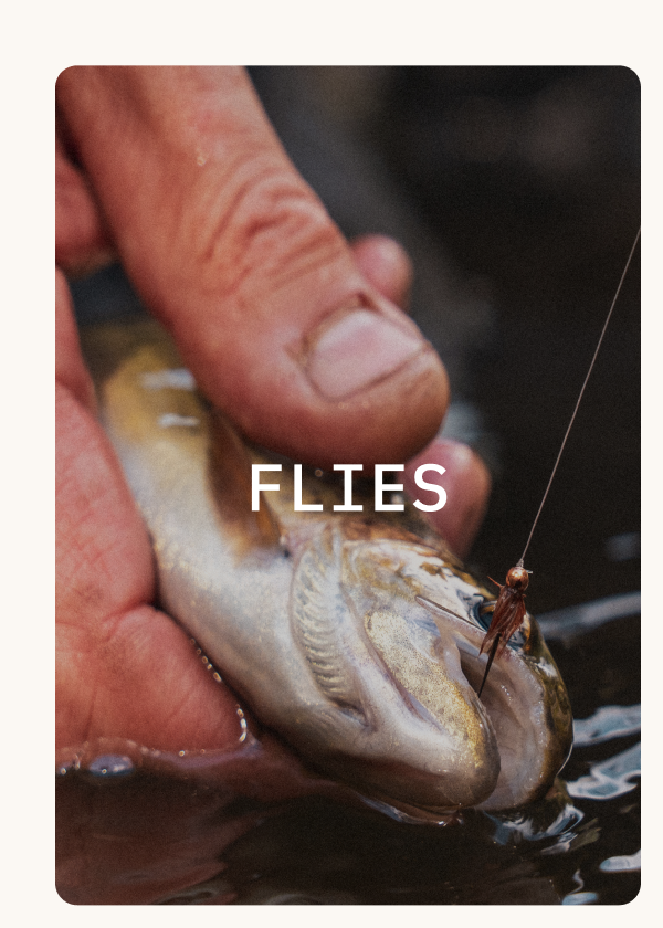 Flies