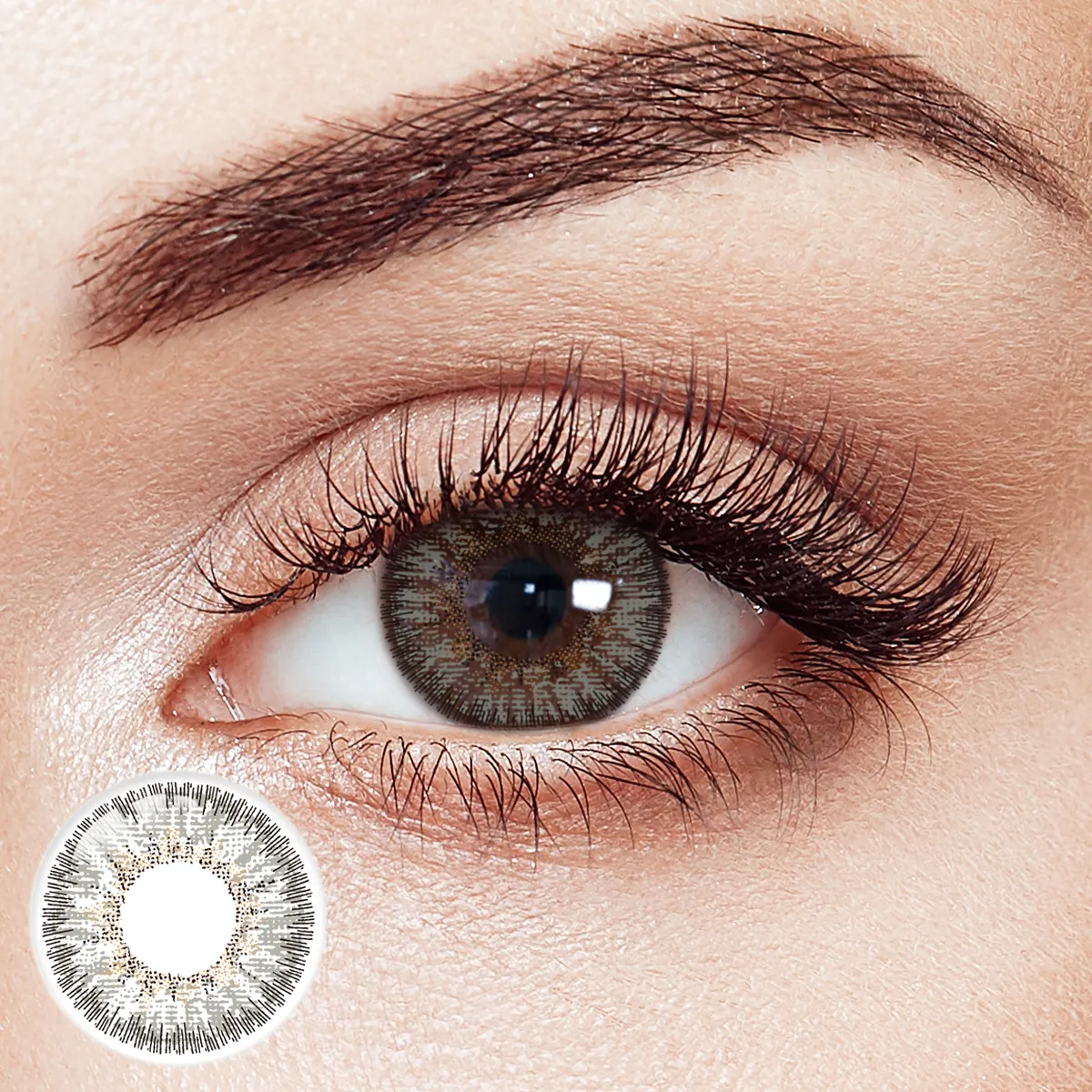 Silver Mist Gray 6 Months Contact Lenses | 2 Pcs