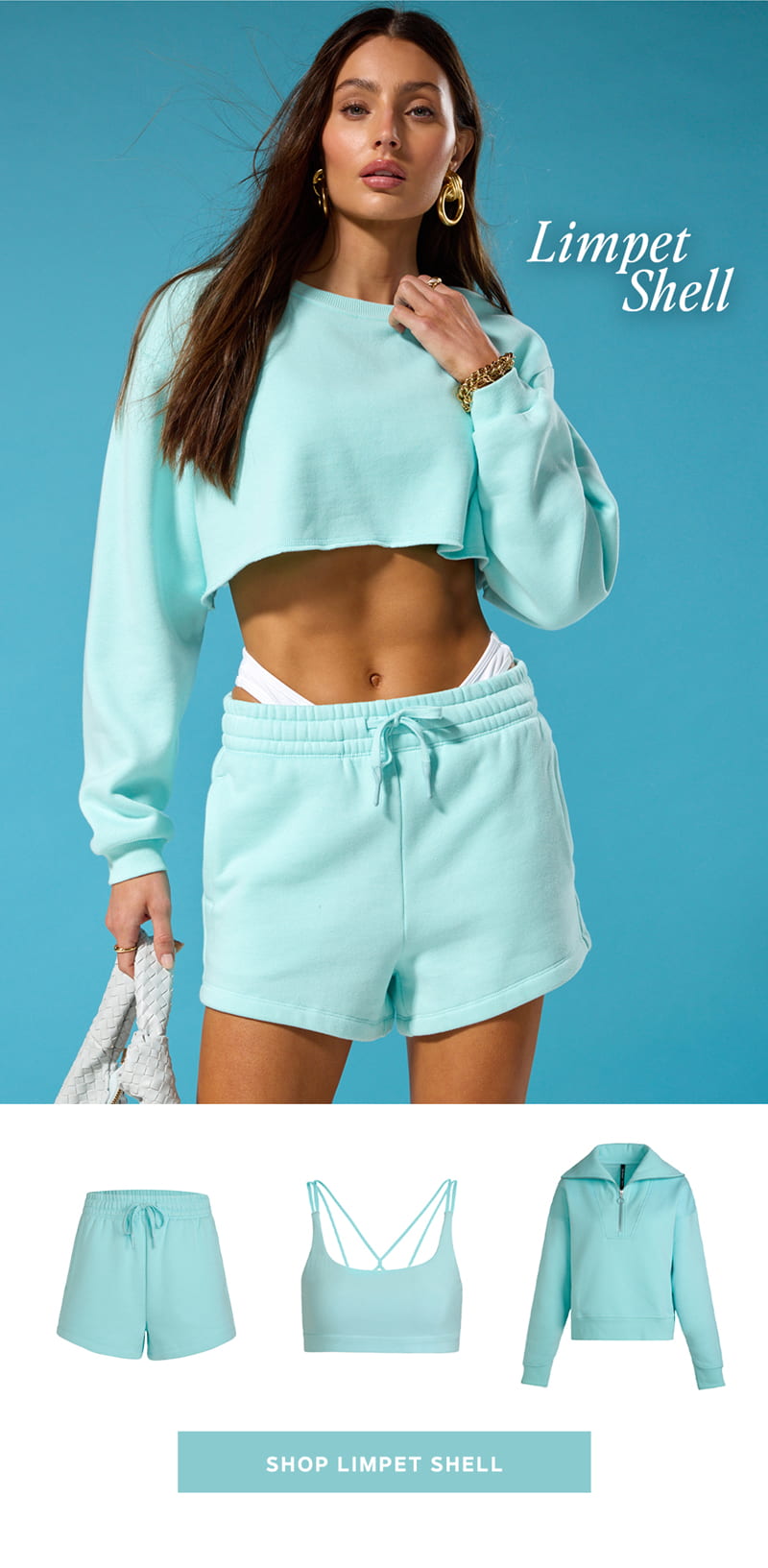 Shop Limpet Shell