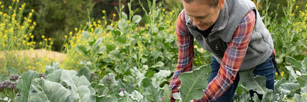 Planting & Harvest Programs