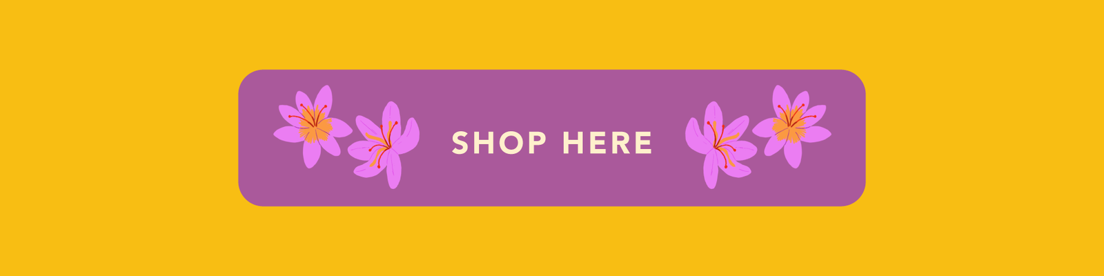 Shop Here