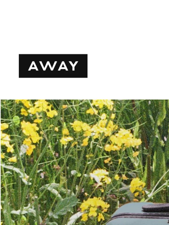 SALE’S ON: up to 25% off