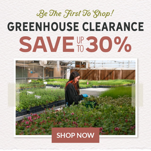 Be the first to shop our greenhouse clearance