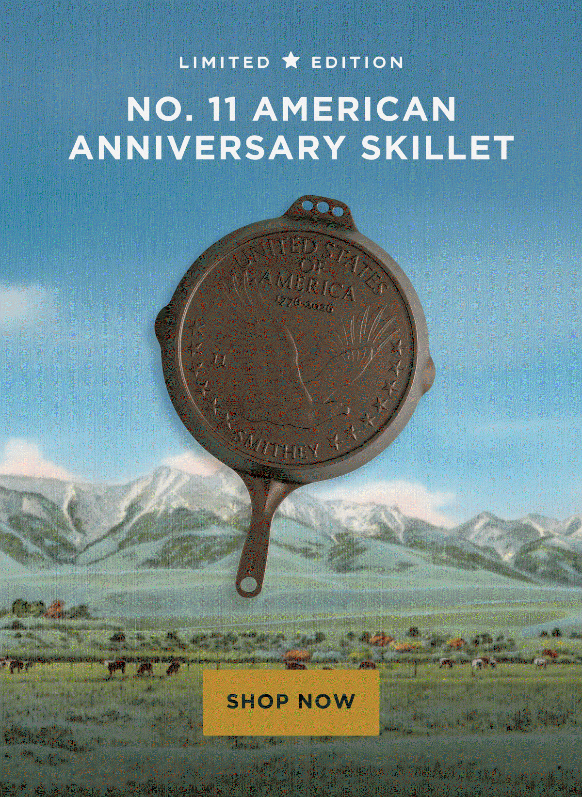 Shop the No. 11 American Anniversary Skillet