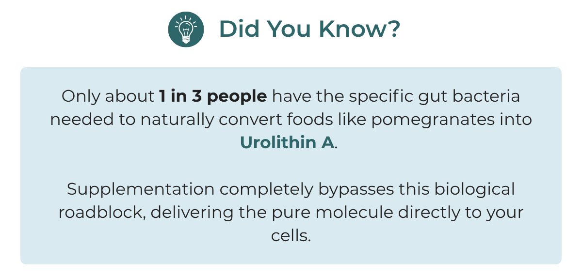 Did you know?