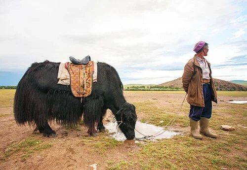 Discover Mongolia – Eagle Festival