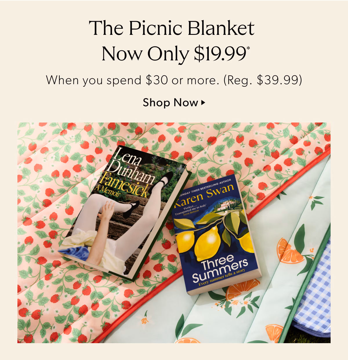 The Picnic Blanket Now only $19.99 | When you spend $30 or more. (Reg. $39.99)