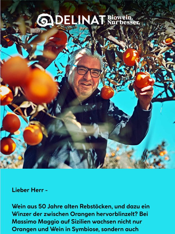 Wein und Orangen?
