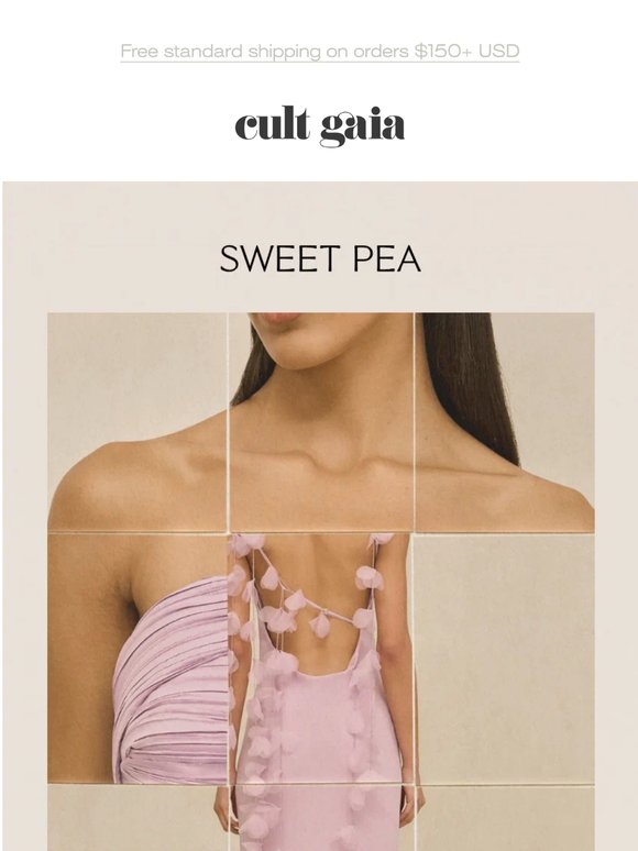 SWEET PEA
