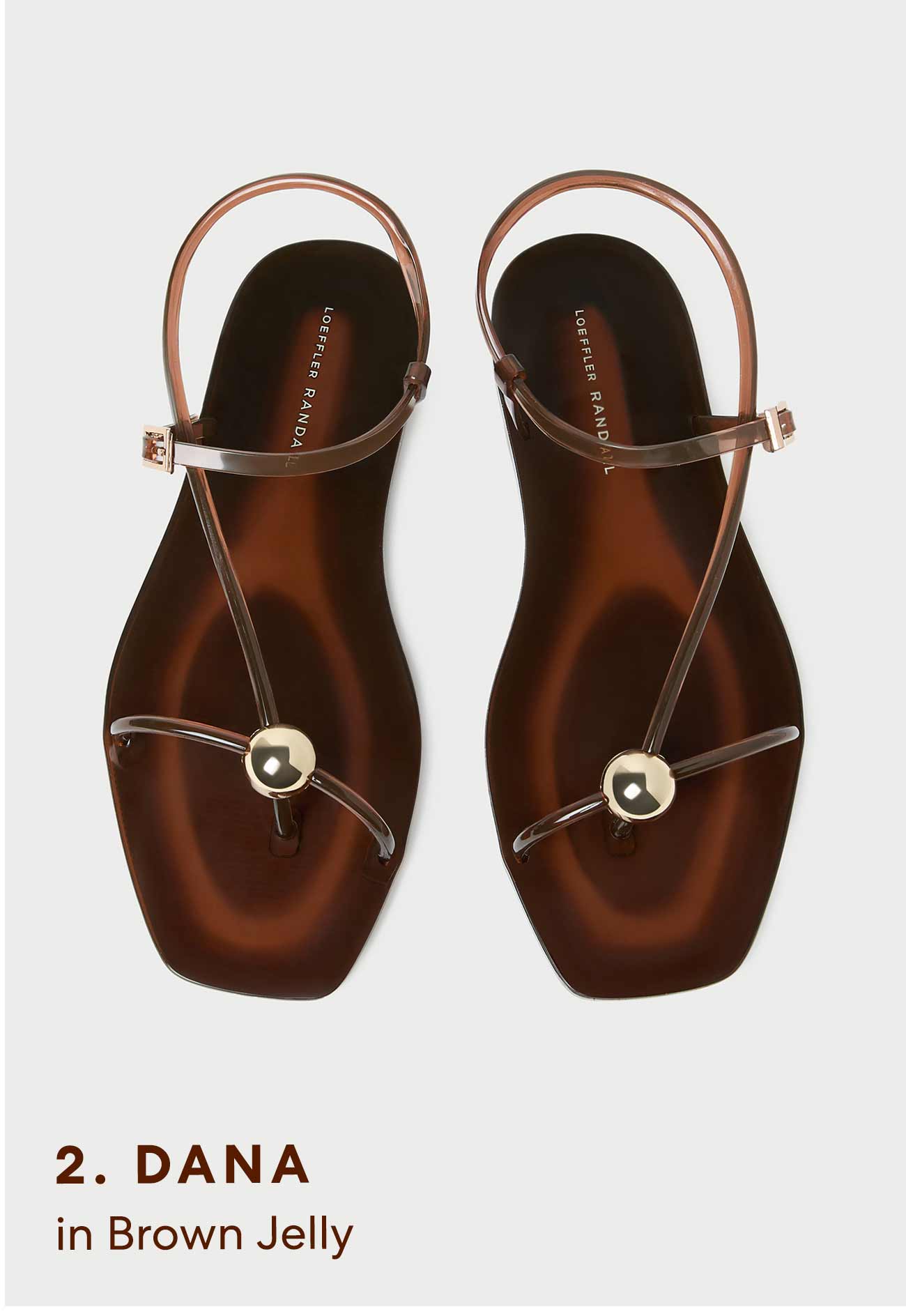 Dana in Brown Jelly 