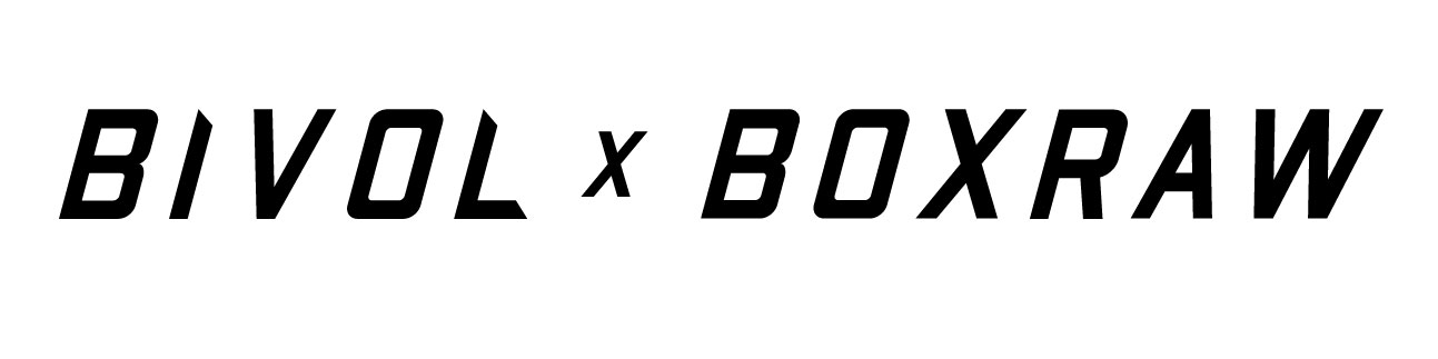 Bivol x BOXRAW