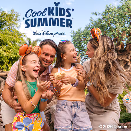 Orlando: Walt Disney World Resort Promotional Package.