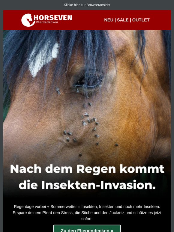 Die Insekten kommen 😨 Schütze dein Pferd JETZT!