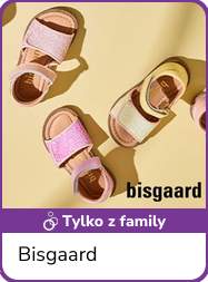 Bisgaard