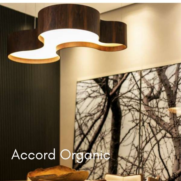 Accord Organic LED Pendant
