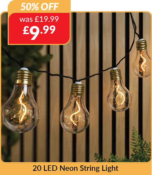 20 LED Neon string light. 50% off. Was £19.99 now £9.99