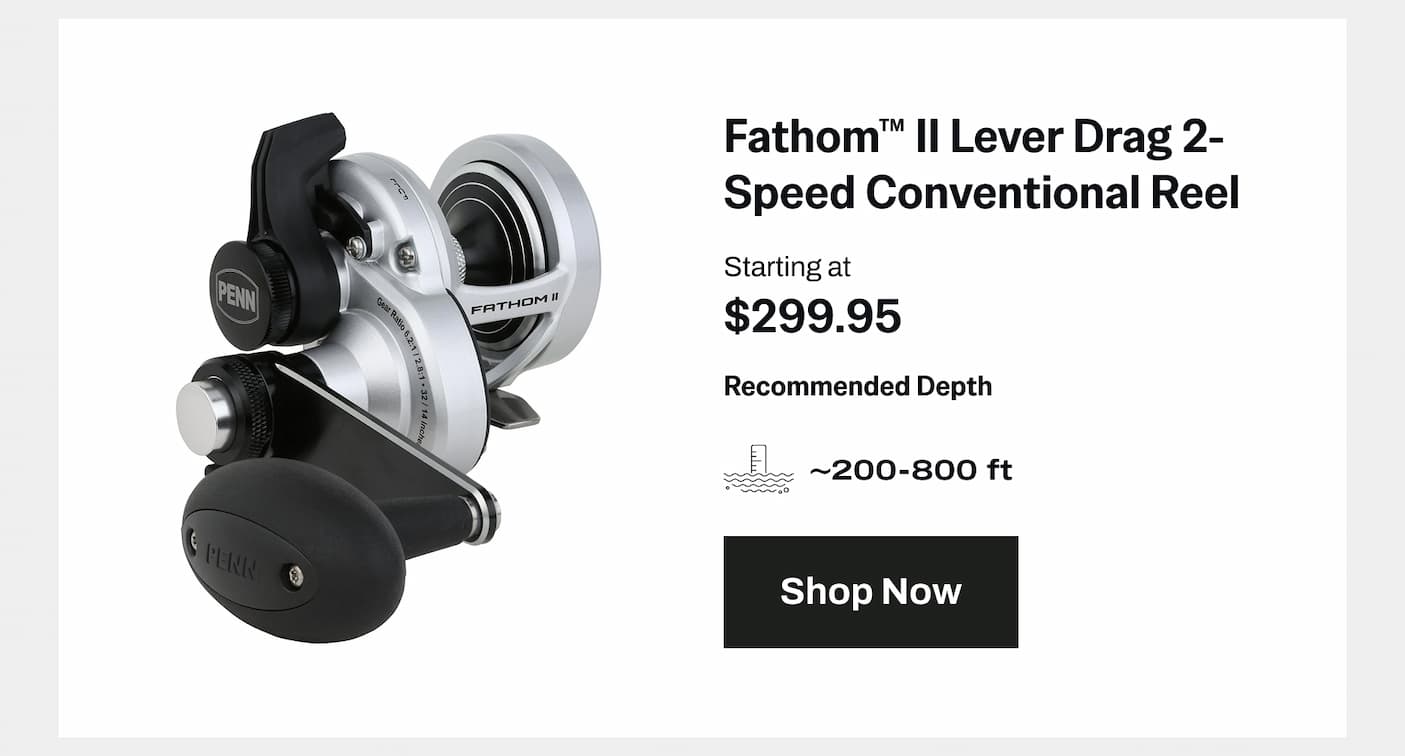 Fathom II Lever Drag 2-Speed Conventional Reel