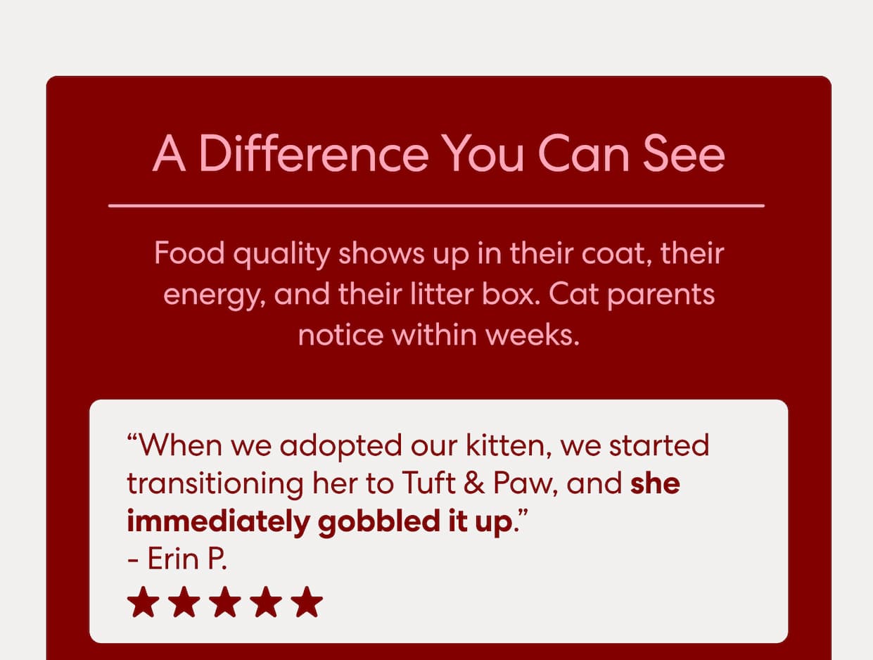 A difference you can see! Food quality shows up in their coat, their energy, and their litter box. Cat parents notice within weeks. 