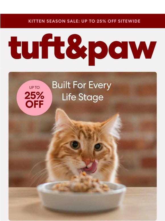 Most cat food isn’t made for kittens.