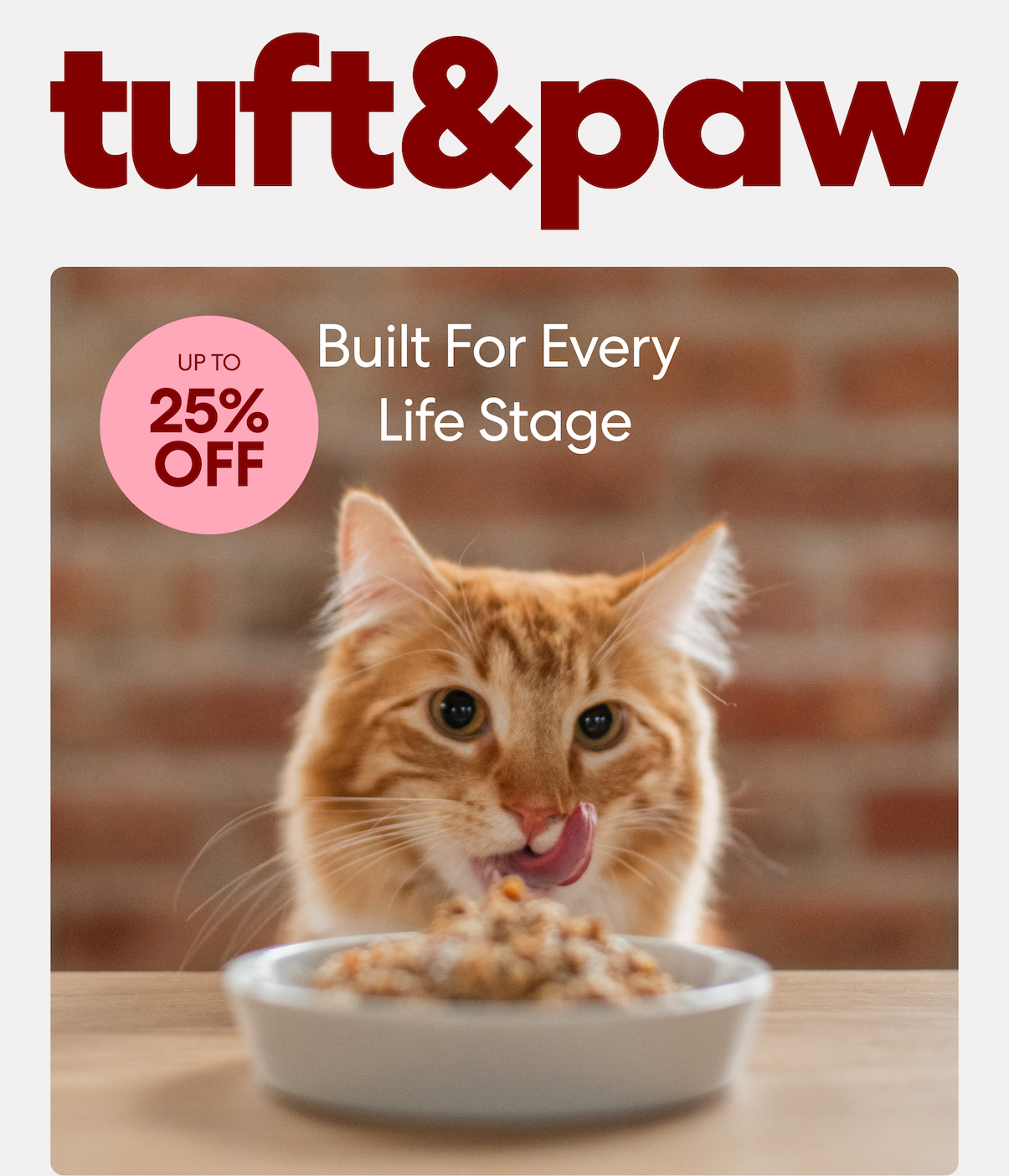 Really Great Cat Food built for every life stage