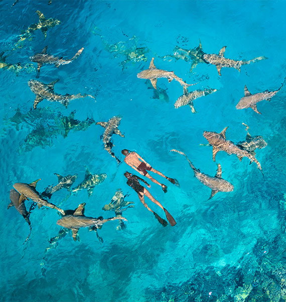 Maldives