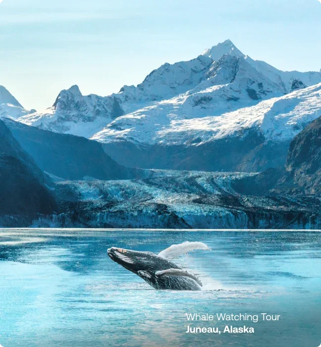 A humpback whale breaching the water with snow-covered mountains and a glacier in the background.