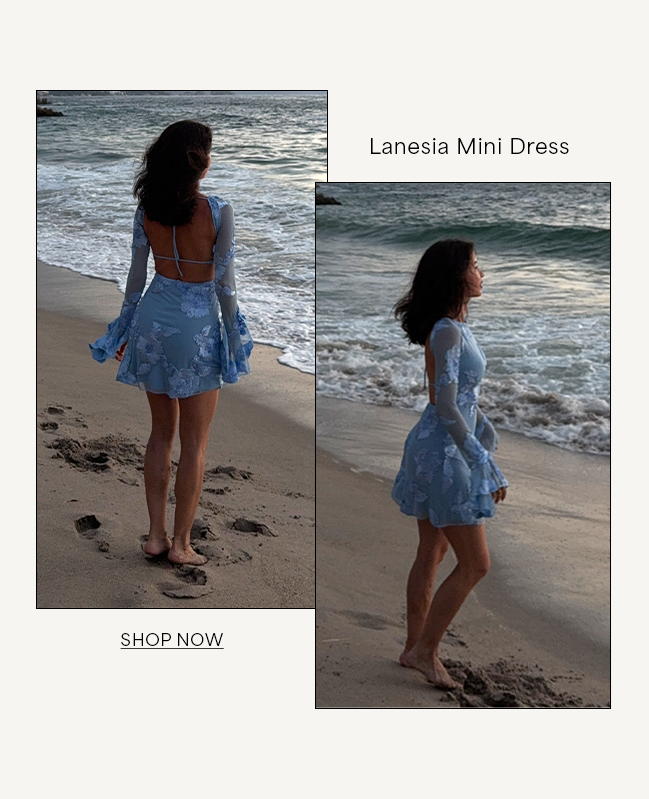 Lanesia Mini Dress