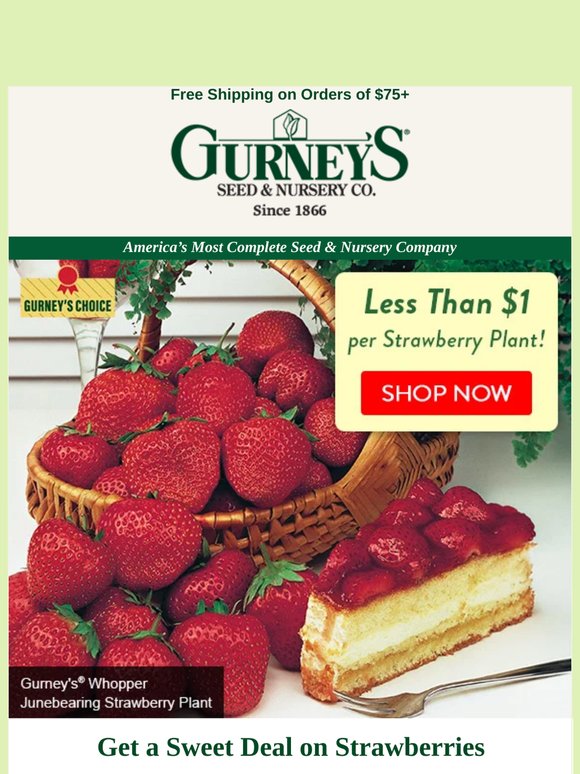 Less than $1/strawberry plant AND free shipping.