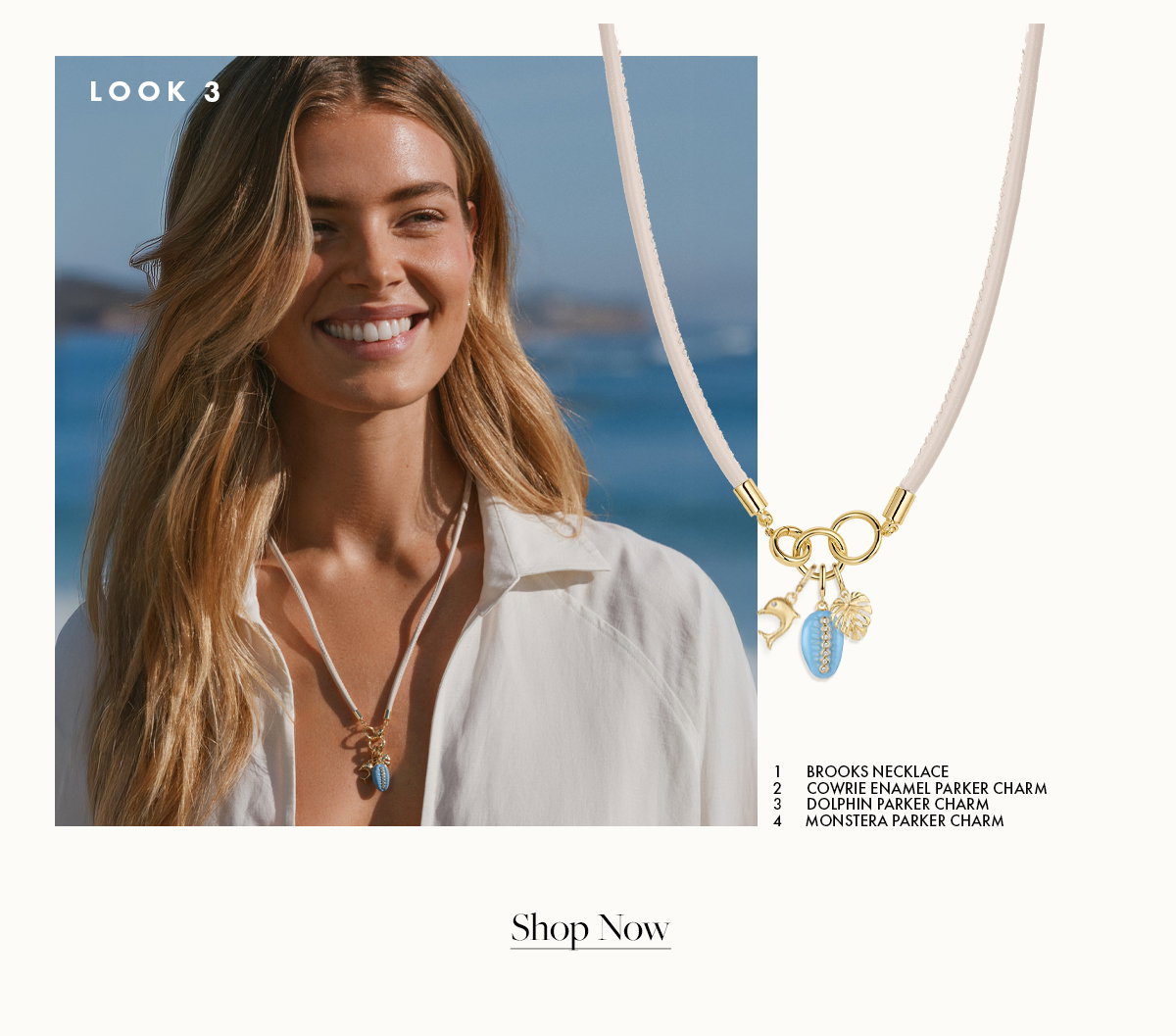 Look 3