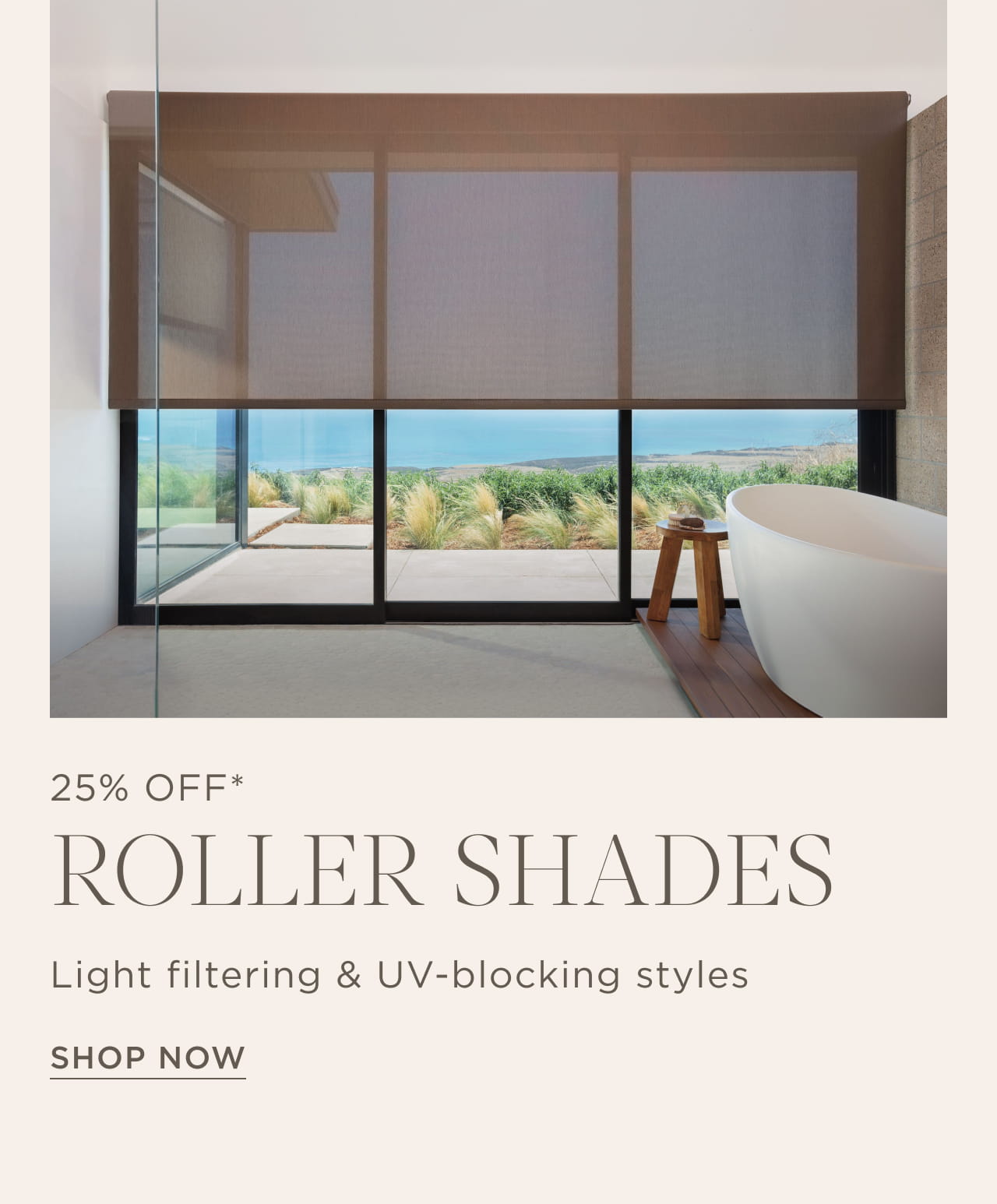 Shop Roller Shades