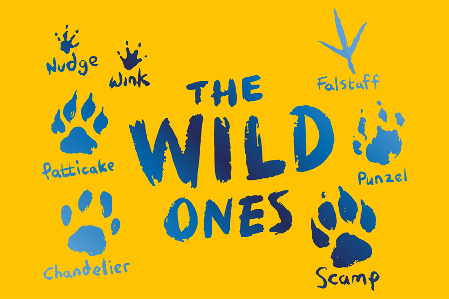 A yellow background featuring The Wild Ones logo and the animal pawprints.