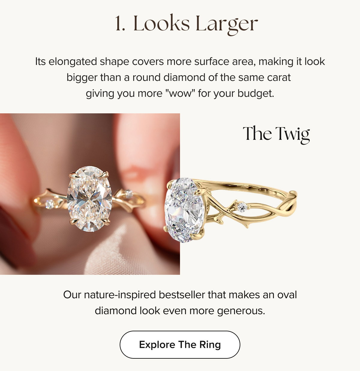 The Twig