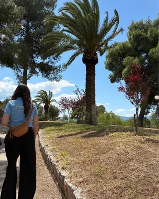 sc3