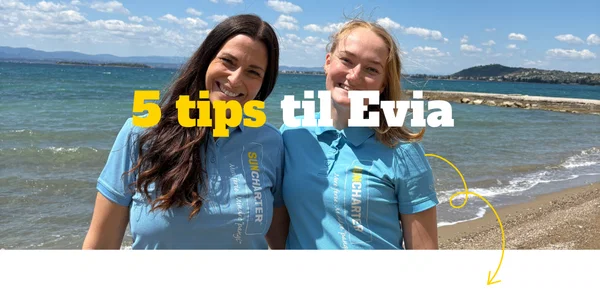 tipstilevia