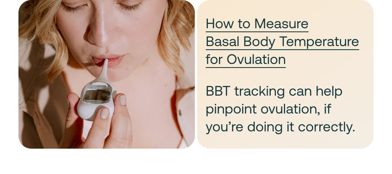 How to Measure Basal Body Temperature for Ovulation 
