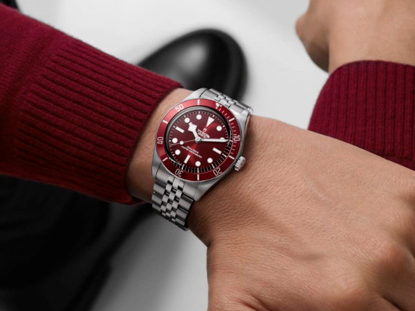 TUDOR BLACK BAY SPOTLIGHT
