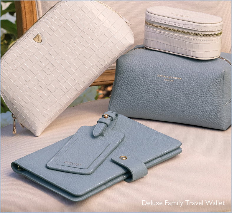 travel wallet