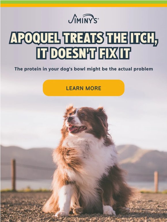 The real cost of Apoquel